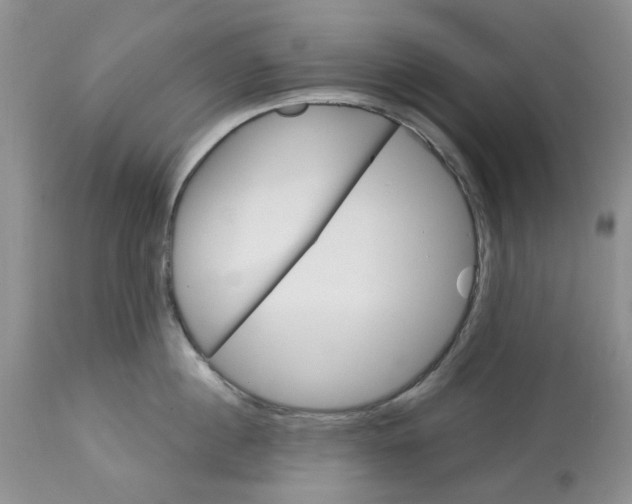 X0000113180860200909251440