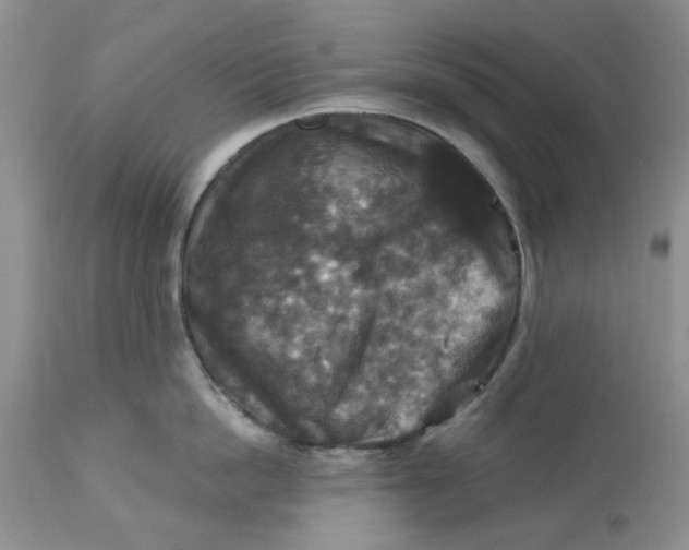 X0000113180862200909251440