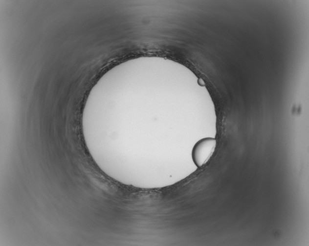 X0000113180865200909251439