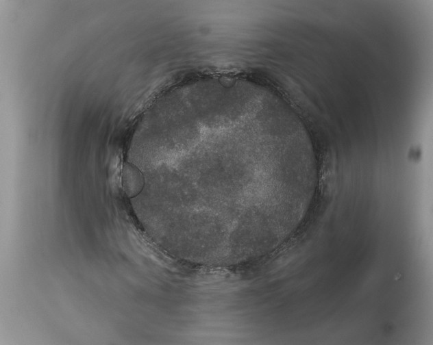 X0000113180866200909251439