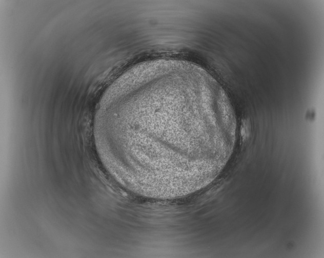 X0000113180867200909251439