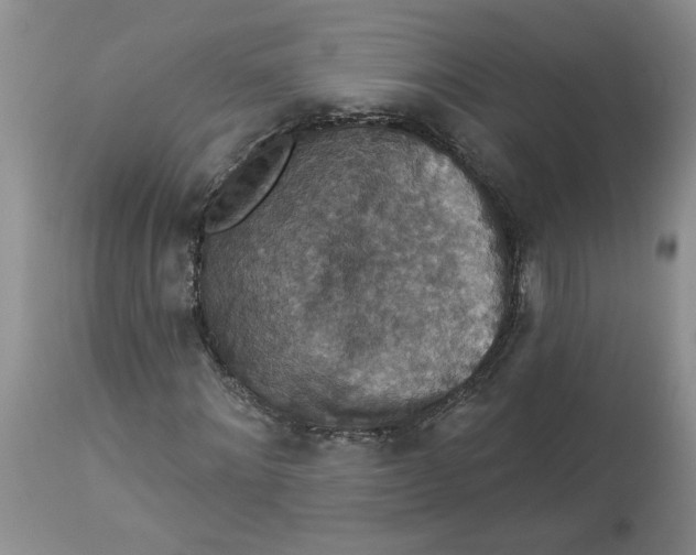 X0000113180868200909251439