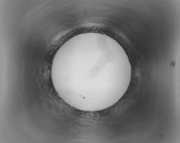 X0000113180869200909251439