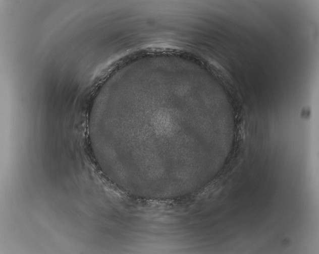 X0000113180870200909251439