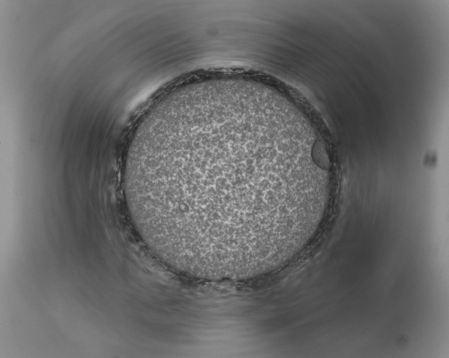 X0000113180871200909251439