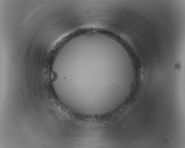 X0000113180872200909251439