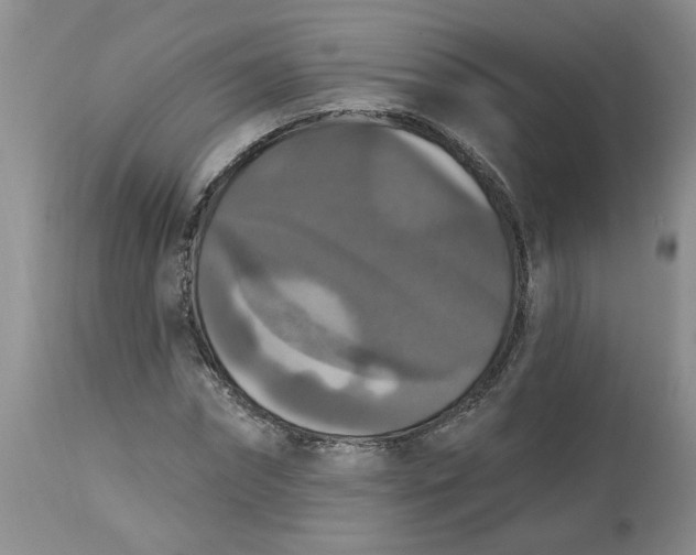 X0000113180874200909251439