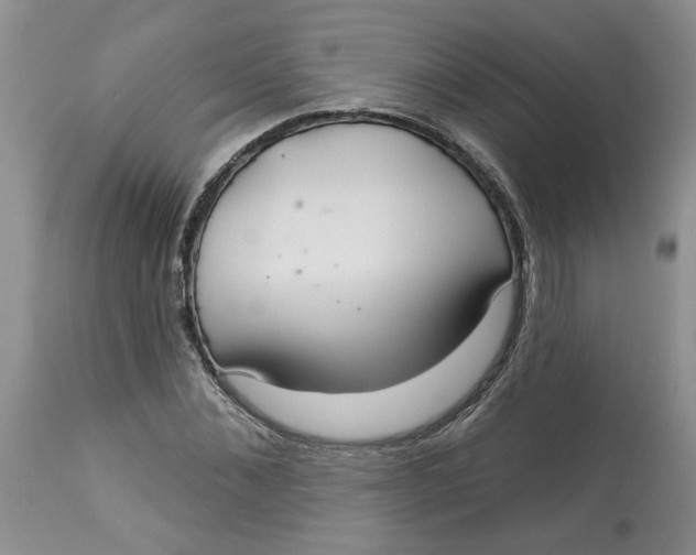 X0000113180876200909251439