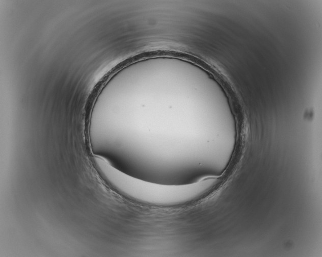 X0000113180877200909251439