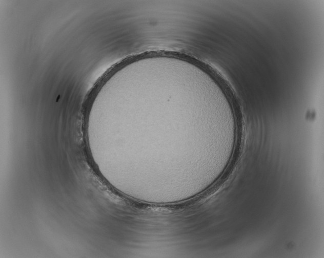 X0000113180878200909251439