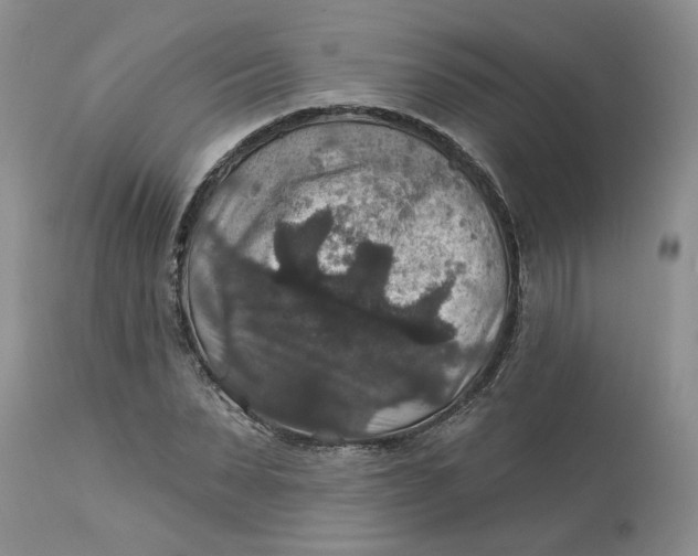 X0000113180879200909251439