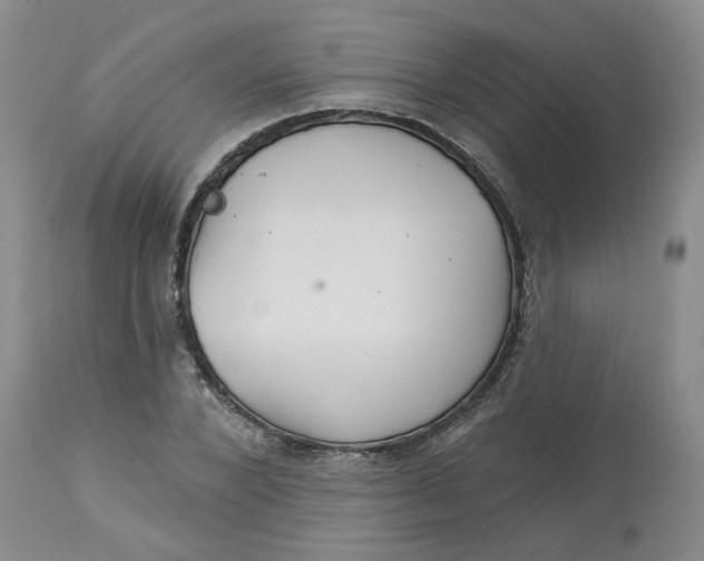 X0000113180880200909251439