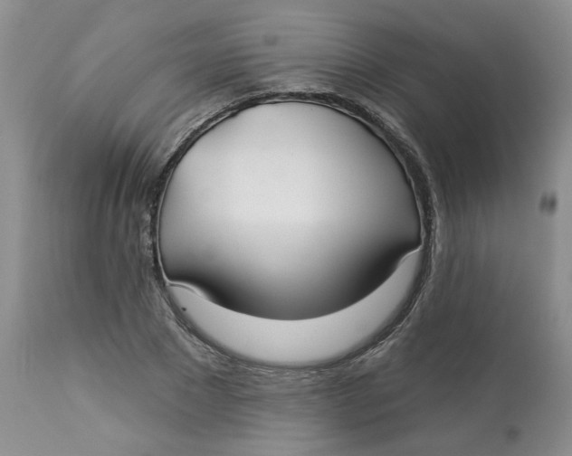 X0000113180881200909251439