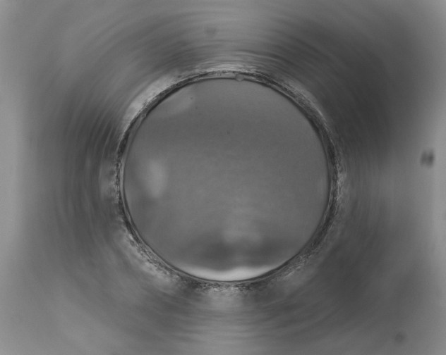 X0000113180882200909251439
