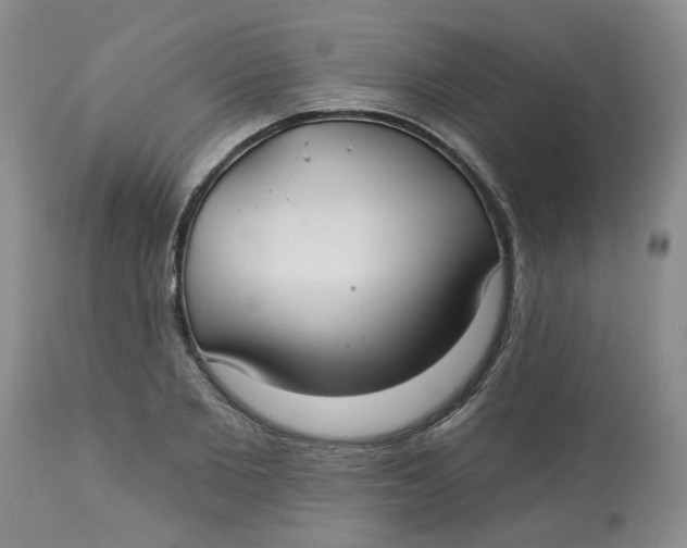 X0000113180885200909251439