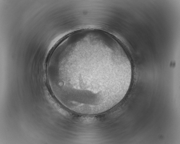 X0000113180886200909251439