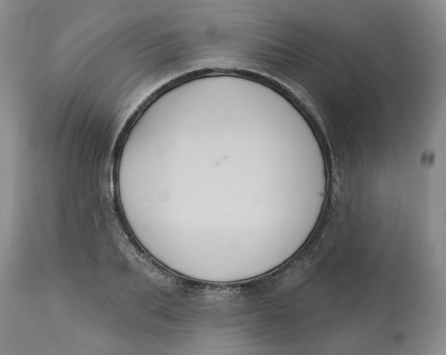X0000113180887200909251439