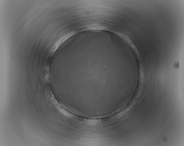 X0000113180889200909251439