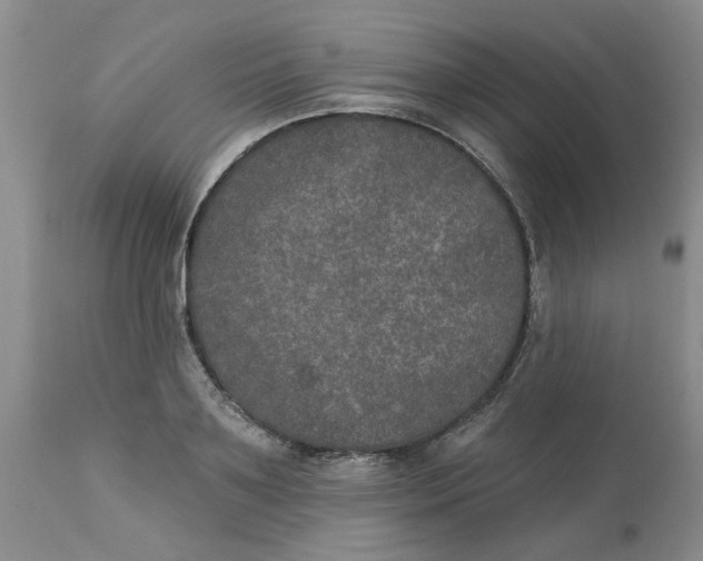 X0000113180891200909251439