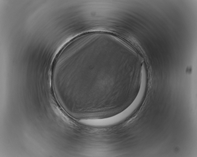 X0000113180892200909251439