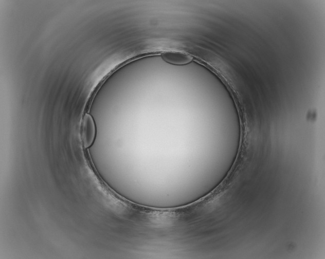 X0000113180893200909251439