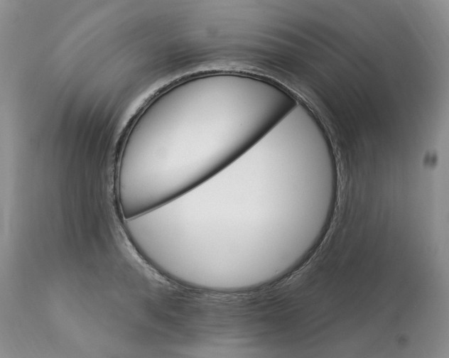 X0000113180896200909251438