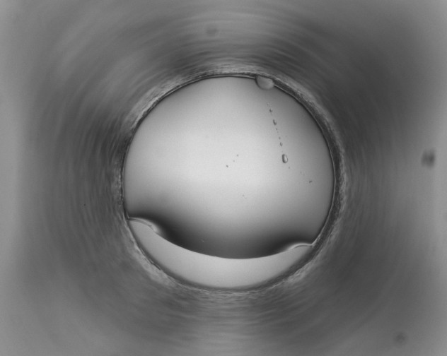 X0000113180897200909251438