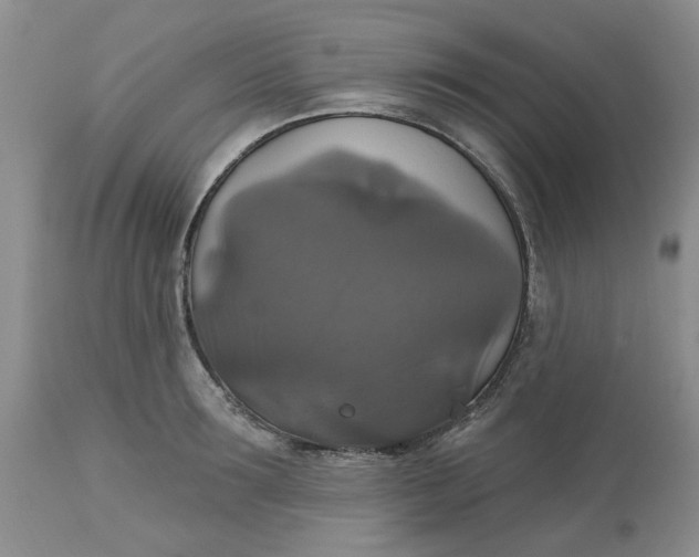 X0000113180899200909251438