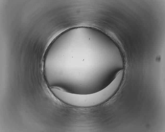 X0000113180900200909251438
