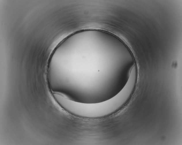 X0000113180901200909251438