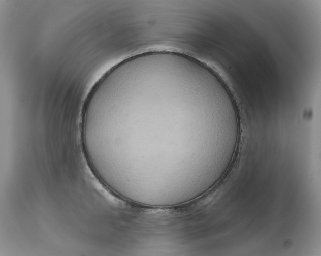 X0000113180902200909251438