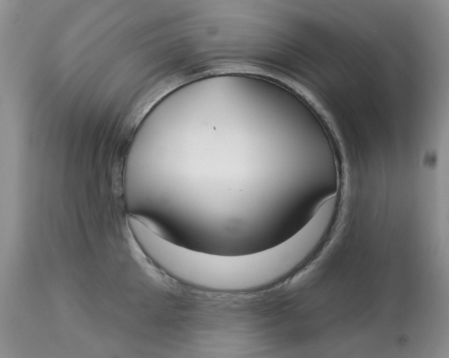 X0000113180905200909251438
