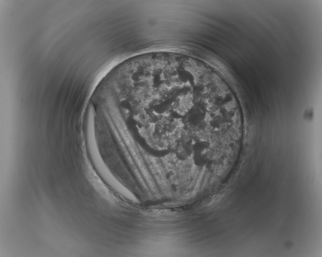 X0000113180907200909251438