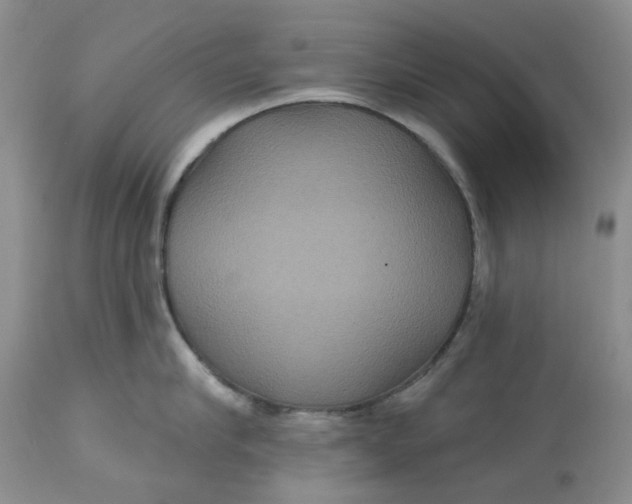 X0000113180910200909251438