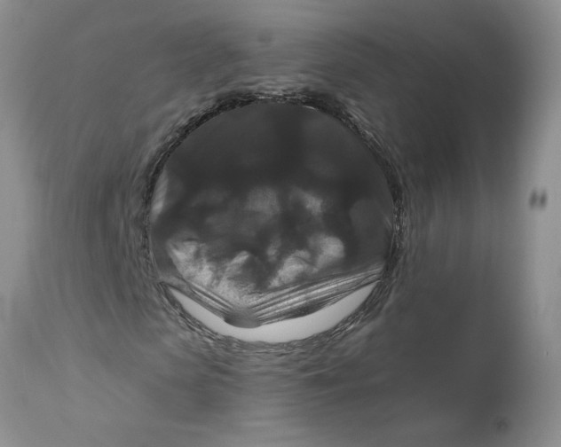 X0000113180913200909251437