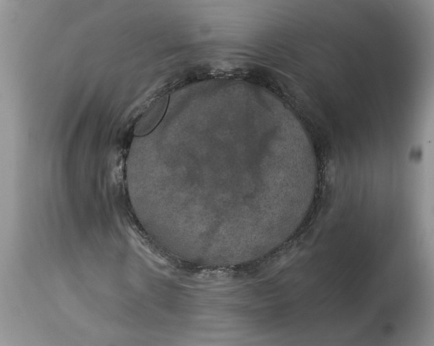 X0000113180914200909251437