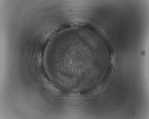X0000113180915200909251437
