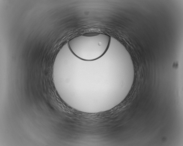X0000113180916200909251437
