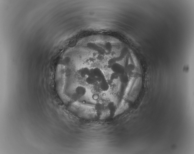 X0000113180917200909251437