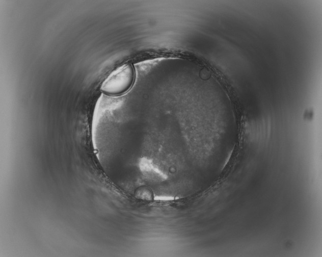 X0000113180918200909251437