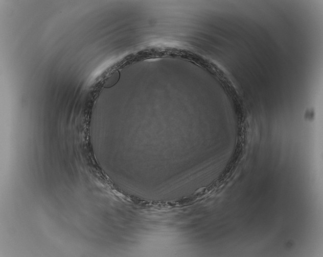 X0000113180919200909251437