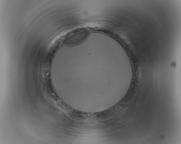 X0000113180920200909251437