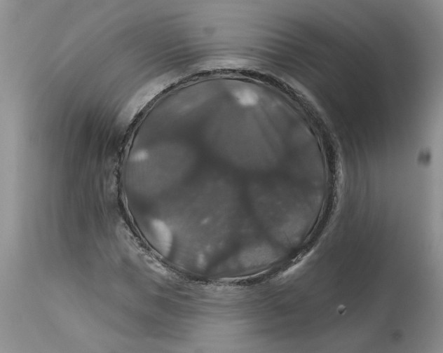 X0000113180921200909251437