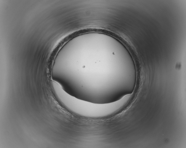 X0000113180926200909251437