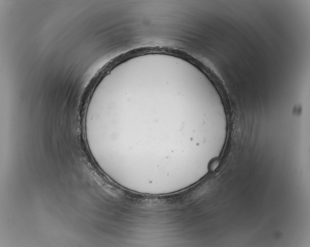 X0000113180927200909251437