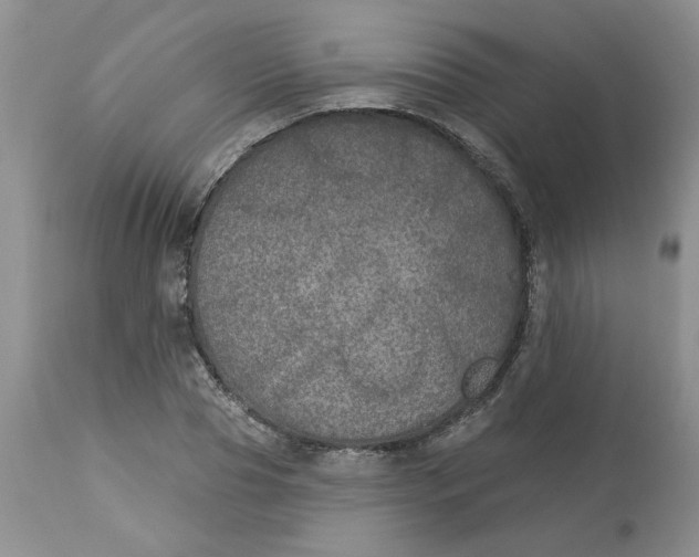 X0000113180929200909251438