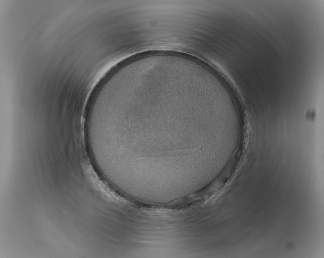 X0000113180932200909251438