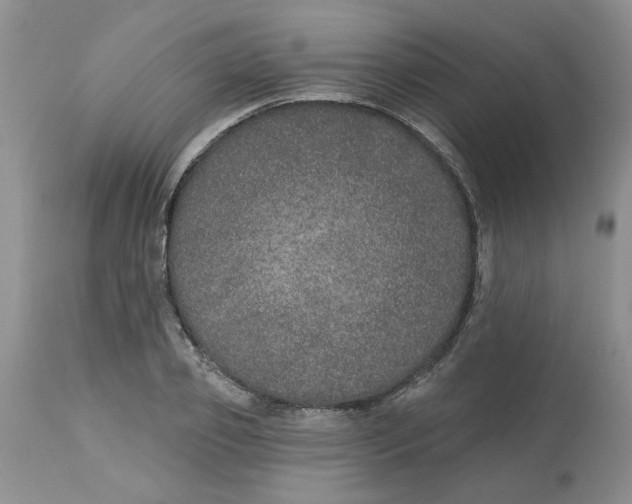 X0000113180933200909251438