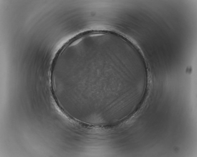 X0000113180935200909251438