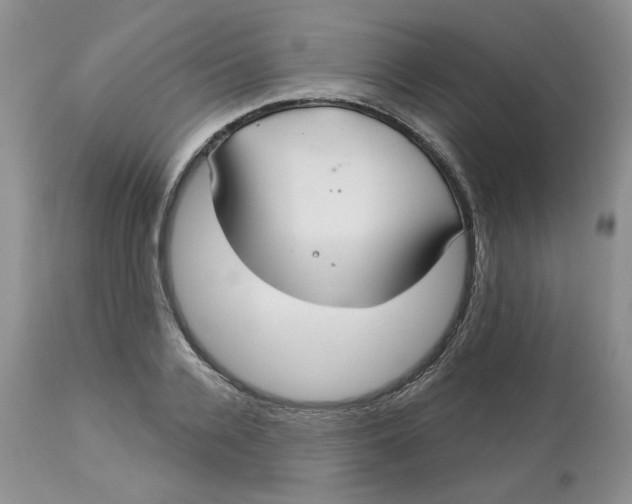 X0000113180936200909251438